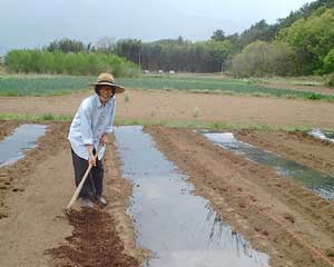farm2.jpg