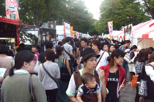 VEGFES33.jpg